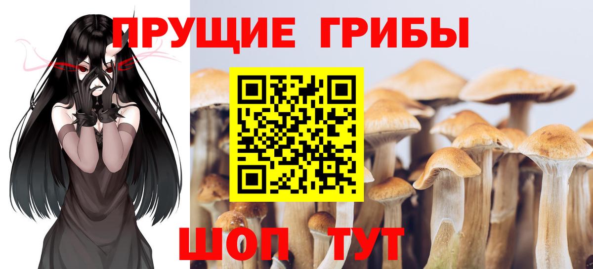 Псилоцибиновые грибы мухоморы  Вход с VPN  Ахтубинск 