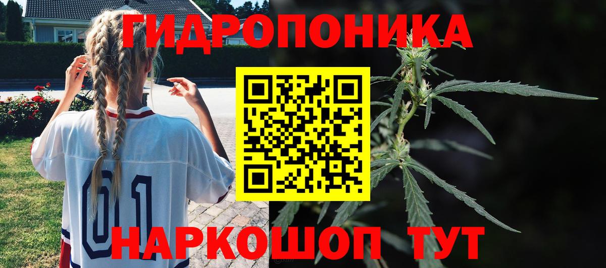 Конопля конопля  Вход с VPN  Ахтубинск  Каннабис LSD WEED  Конопля планчик  Канабис THC 21% 
